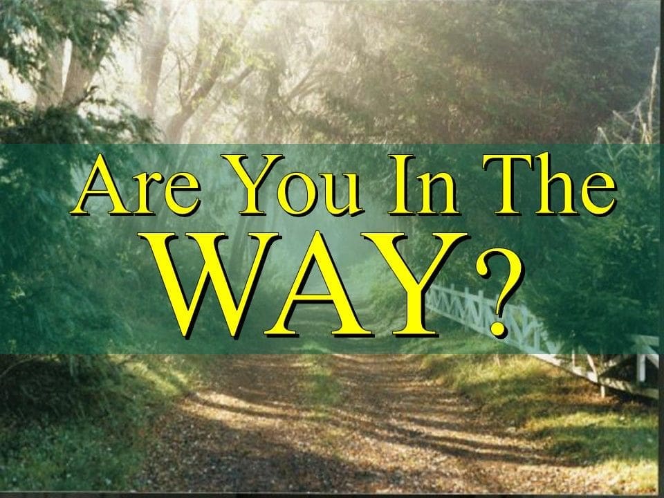Are You In The Way?